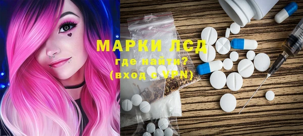 молекула духа Богданович
