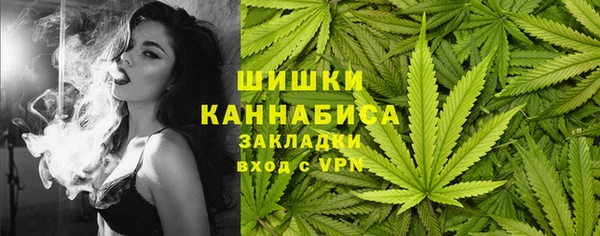 молекула духа Богданович