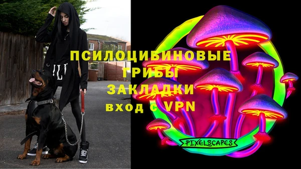 ГАЛЛЮЦИНОГЕННЫЕ ГРИБЫ Бугульма