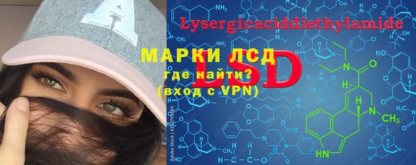 молекула духа Богданович