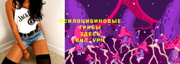 ГАЛЛЮЦИНОГЕННЫЕ ГРИБЫ Бугульма