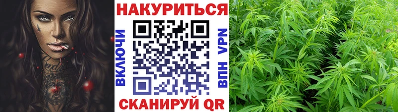 Каннабис MAZAR  как найти закладки  Власиха 